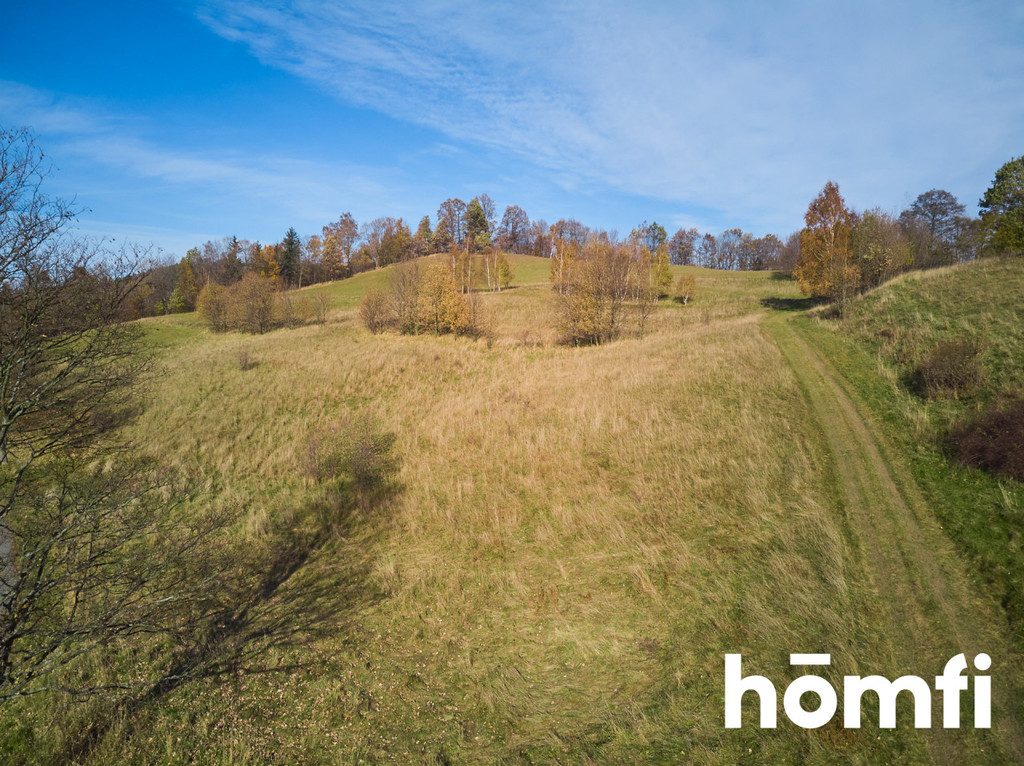 Działka budowlana 2119&nbsp;m², Walim, Kolonia Górna - zdjęcie 7