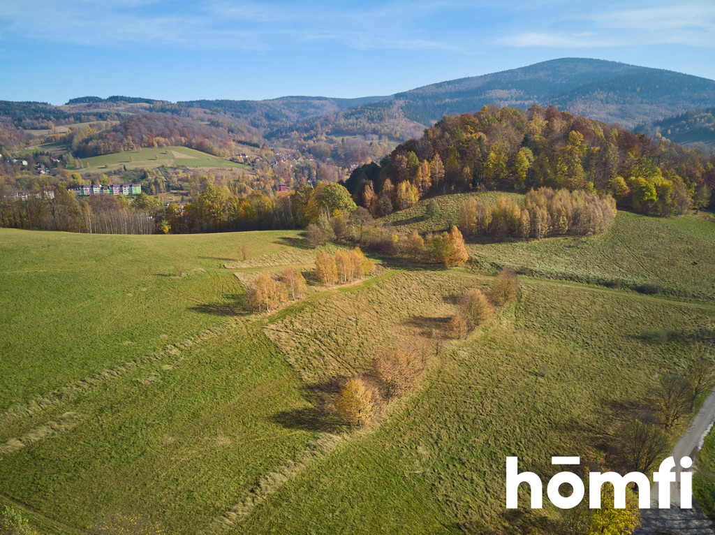 Działka budowlana 2119&nbsp;m², Walim, Kolonia Górna - zdjęcie 5