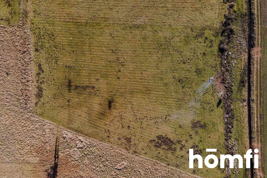 Działka rolna 1,00&nbsp;ha, Nieborów, Łąkowa - zdjęcie 1
