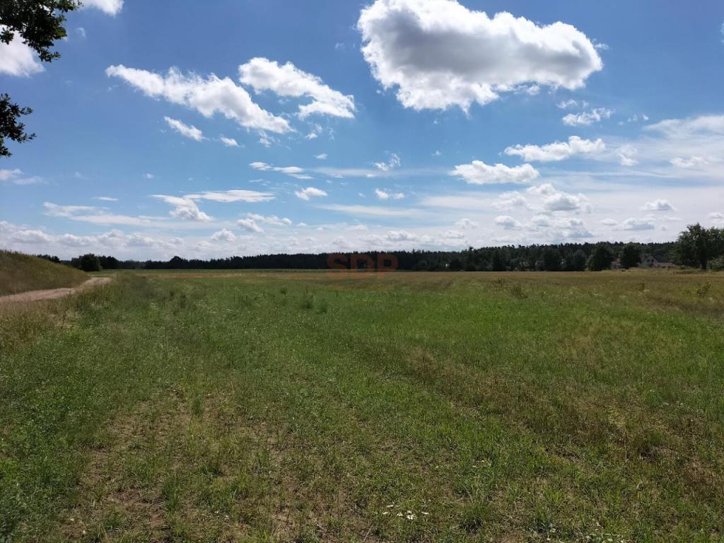 Działka gospodarstwo 3554 m², Siedlce - zdjęcie 4
