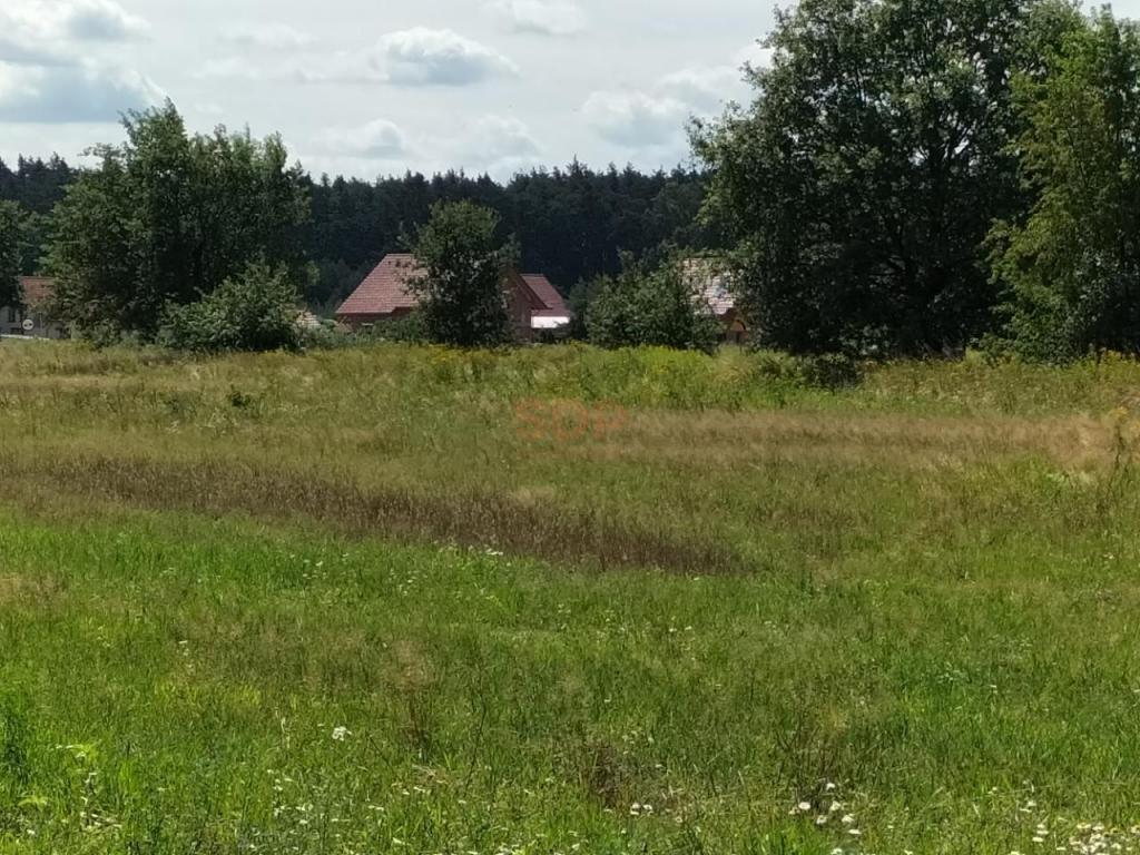 Działka gospodarstwo 3554 m², Siedlce - zdjęcie 2
