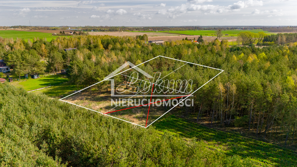 Działka budowlana 920&nbsp;m², Osetna - zdjęcie 1