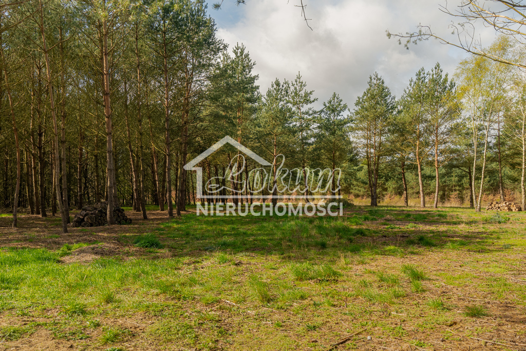 Działka budowlana 920&nbsp;m², Osetna - zdjęcie 7