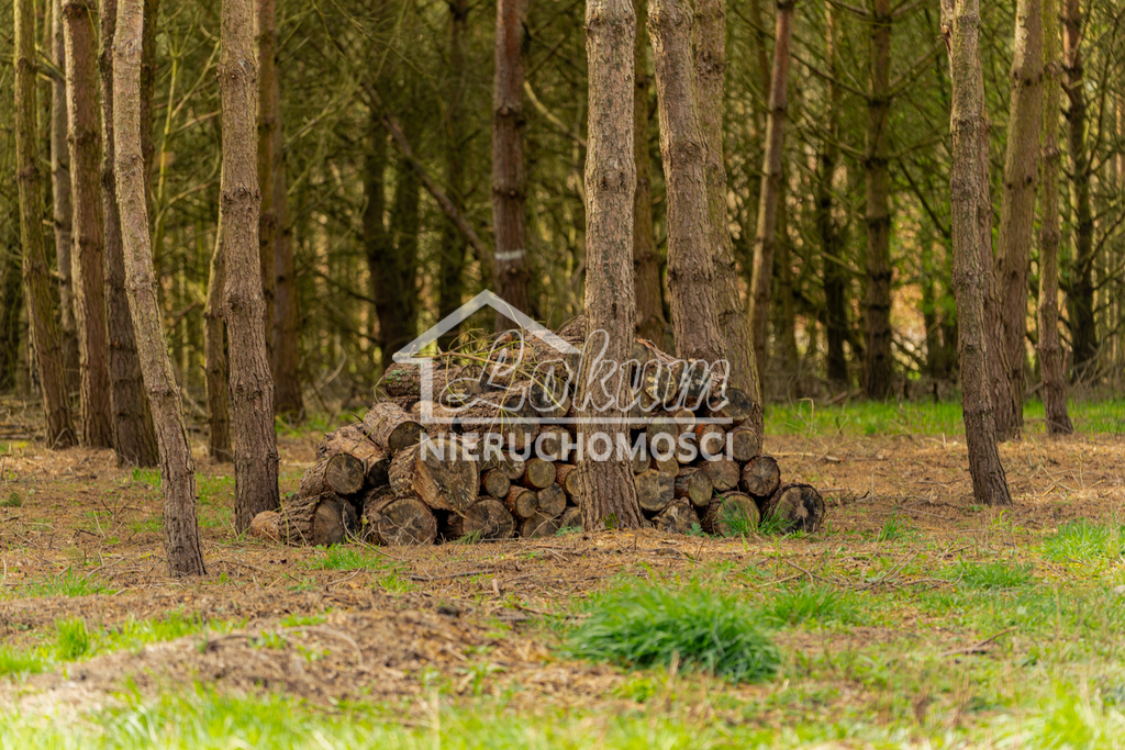 Działka budowlana 920&nbsp;m², Osetna - zdjęcie 15