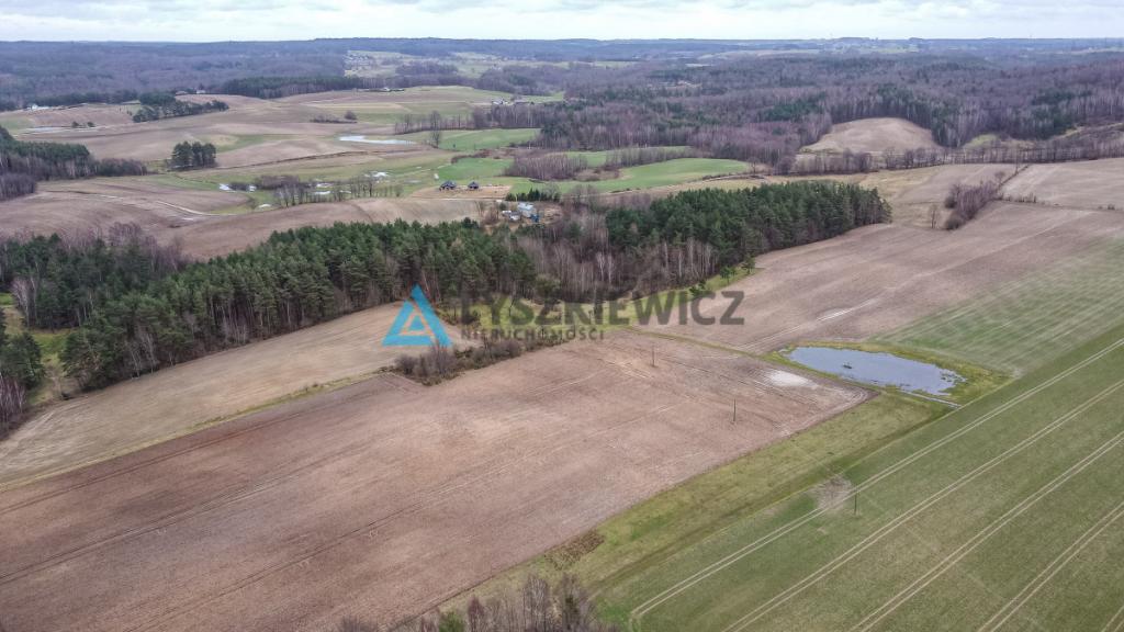 Pięknie położona działka w otulinie lasu - zdjęcie 4
