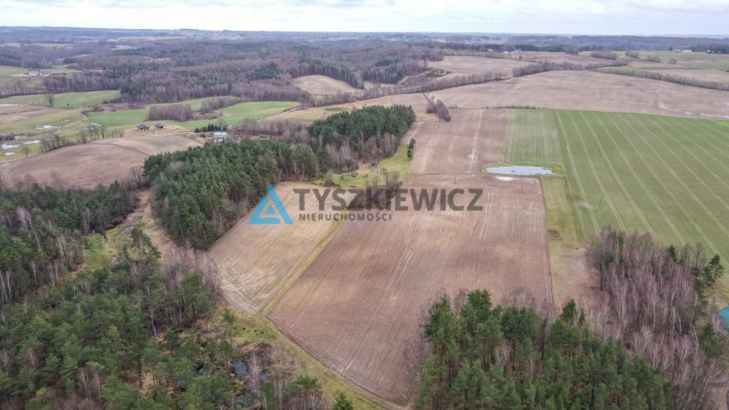 Pięknie położona działka w otulinie lasu - zdjęcie 2