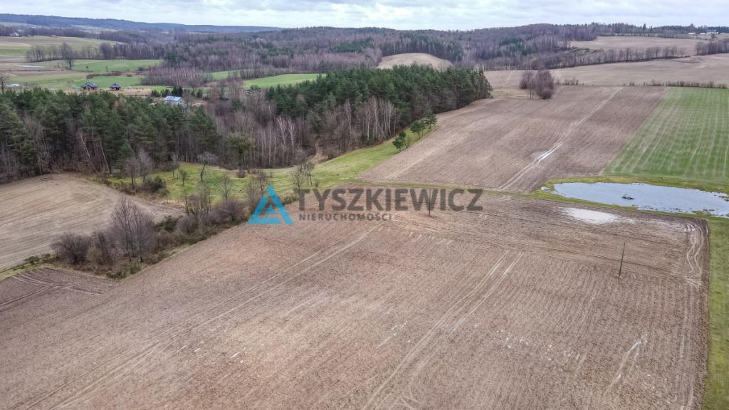 Pięknie położona działka w otulinie lasu - zdjęcie 26