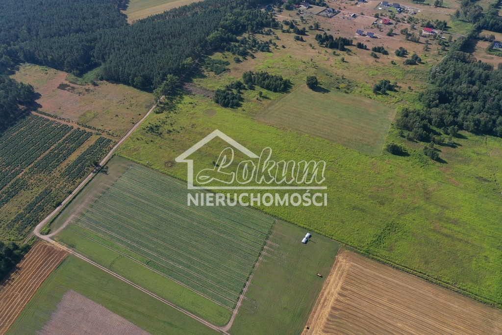 Działka budowlana 1250&nbsp;m², Żółwia Błoć - zdjęcie 3
