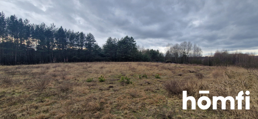 Działka budowlana 1,38 ha, Rościsławice, Wołowska - zdjęcie 8