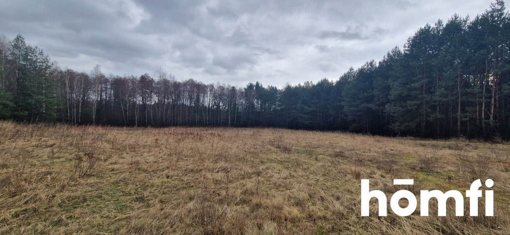 Działka budowlana 1,38 ha, Rościsławice, Wołowska - zdjęcie 9