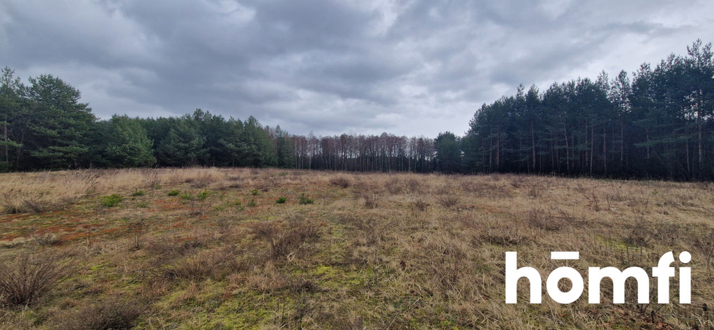 Działka budowlana 1,38 ha, Rościsławice, Wołowska - zdjęcie 6