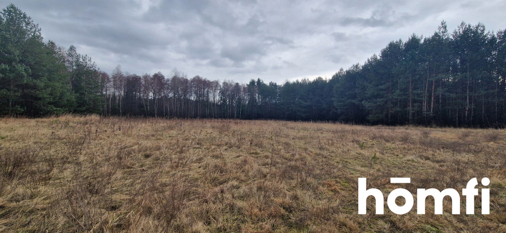 Działka budowlana 1,38 ha, Rościsławice, Wołowska - zdjęcie 7