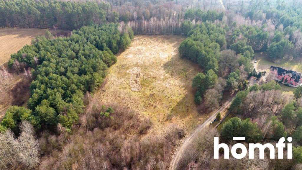 Działka budowlana 1,38 ha, Rościsławice, Wołowska - zdjęcie 2