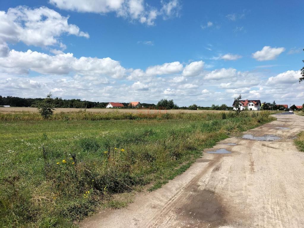 Działka gospodarstwo 3000 m², Siedlce - zdjęcie 2