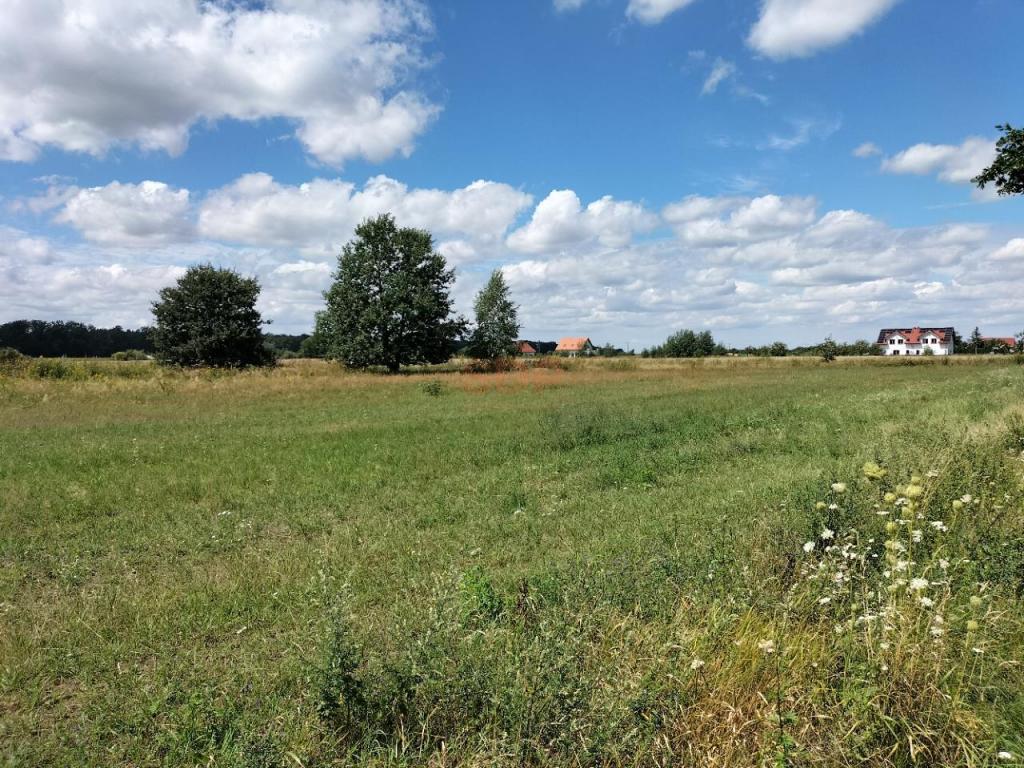 Działka gospodarstwo 3000 m², Siedlce - zdjęcie 3