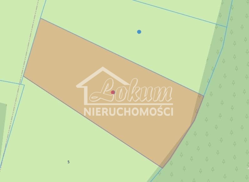 Działka rolna 4,04&nbsp;ha, Trzechel - zdjęcie 1