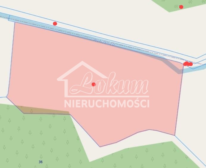 Działka rolna 4,04&nbsp;ha, Trzechel - zdjęcie 3