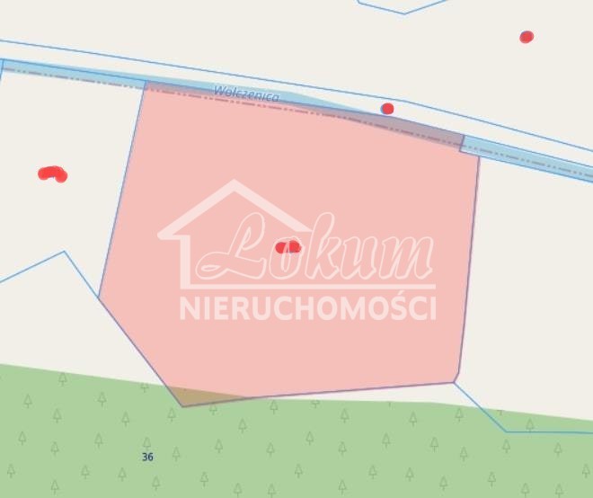 Działka rolna 4,04&nbsp;ha, Trzechel - zdjęcie 2