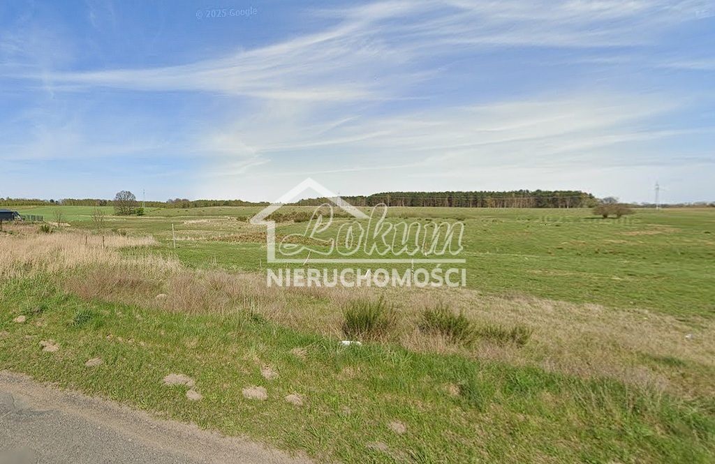 Działka rolna 5,51&nbsp;ha, Trzechel - zdjęcie 2