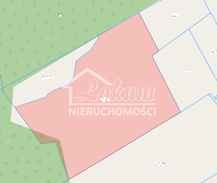 Działka rolna 5,51&nbsp;ha, Trzechel - zdjęcie 1