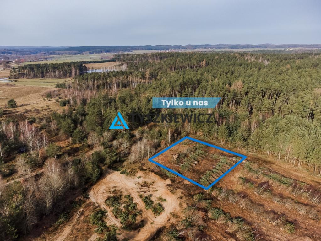 Działka kilka kroków od jeziora- Linia Zakrzewo - zdjęcie 1