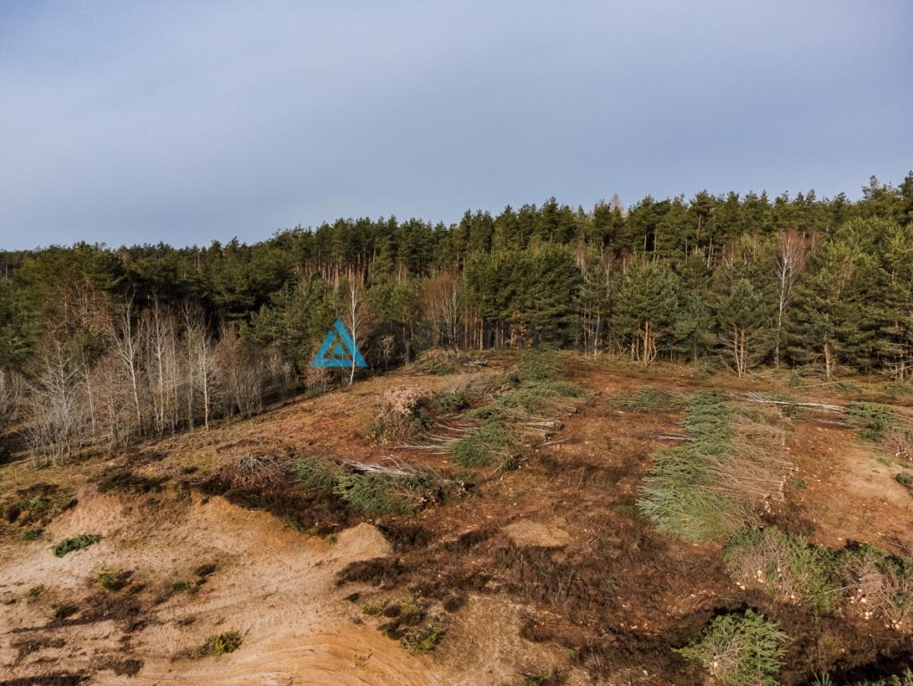 Działka kilka kroków od jeziora- Linia Zakrzewo - zdjęcie 8