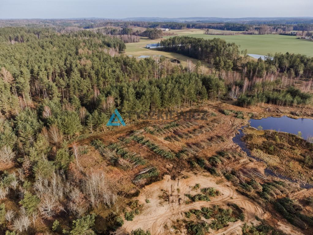 Działka kilka kroków od jeziora- Linia Zakrzewo - zdjęcie 5