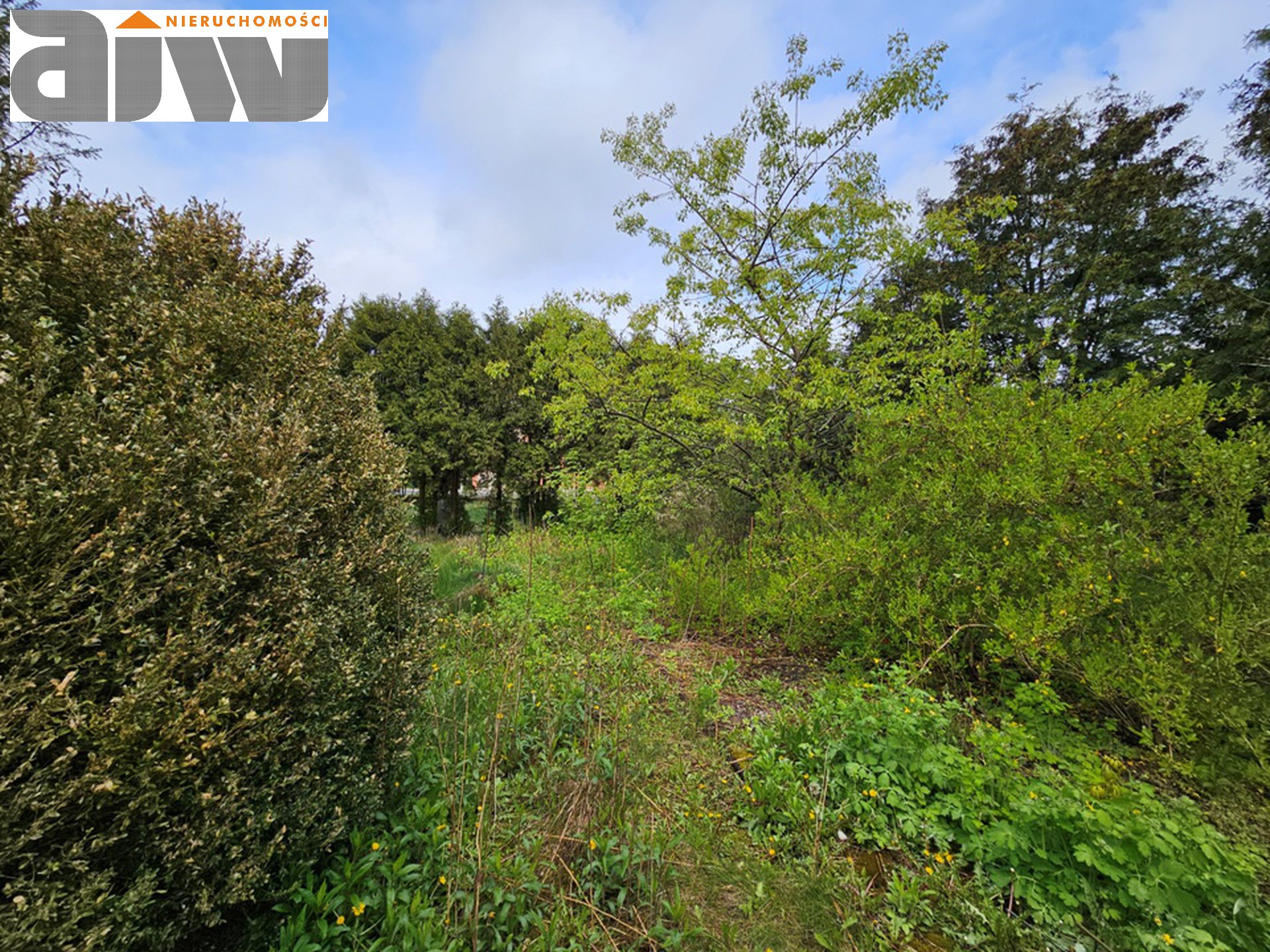 Dom do remontu, działka 1294 m2 - Laski - zdjęcie 2