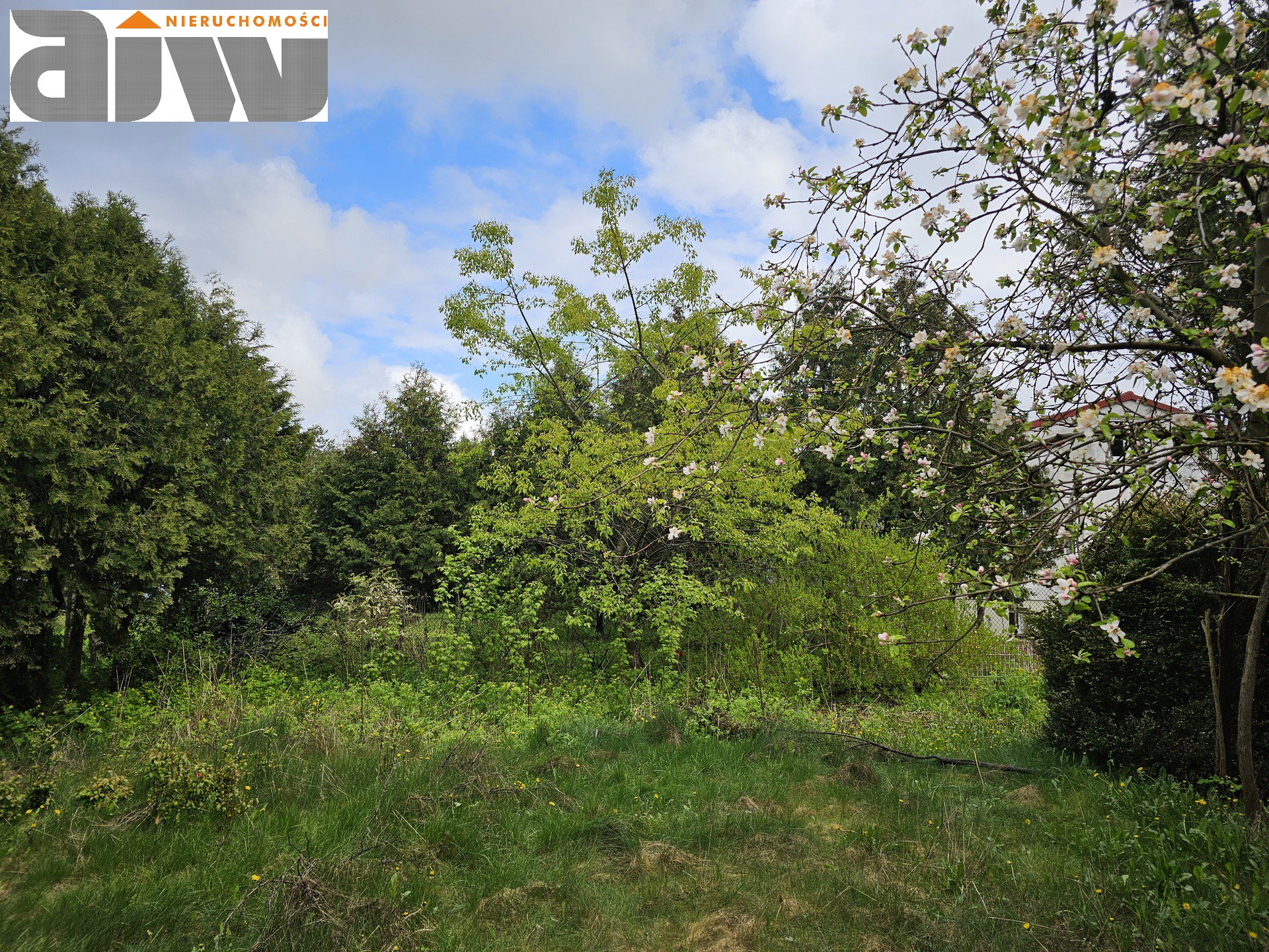 Dom do remontu, działka 1294 m2 - Laski - zdjęcie 3