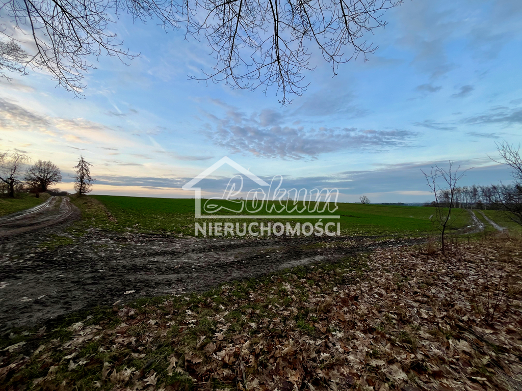 Dom 150&nbsp;m², Zajezierze - zdjęcie 12