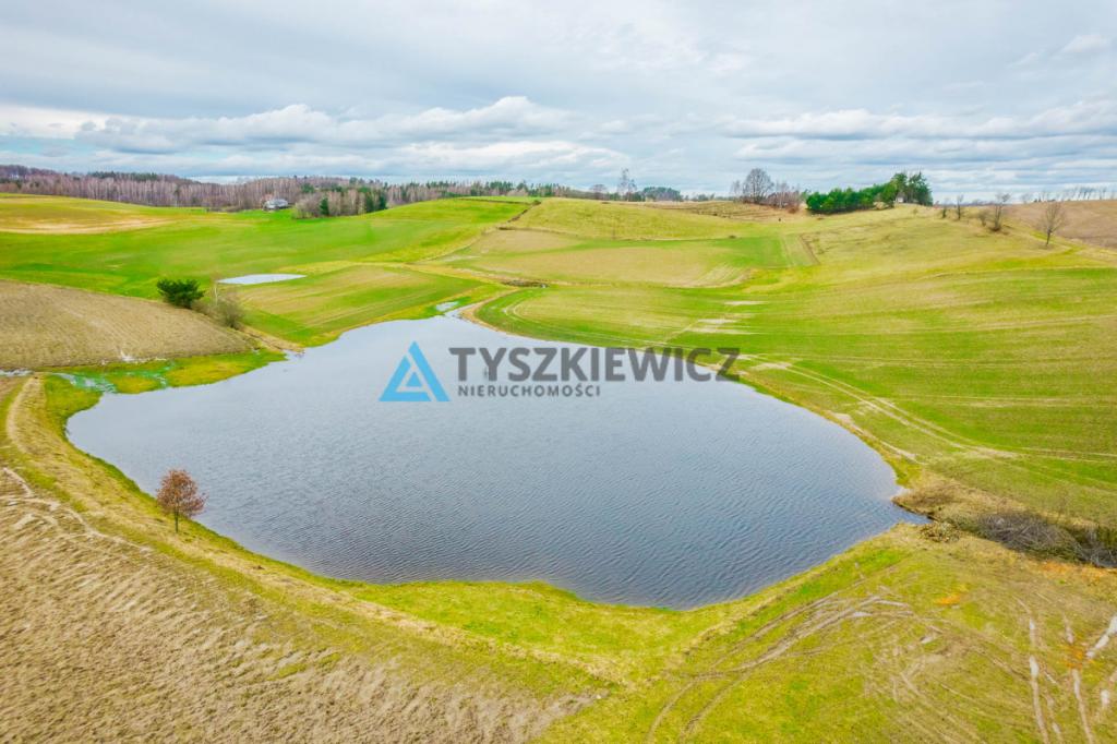 Działka w pobliżu Jeziora Stropno - Jeleńcz - zdjęcie 16