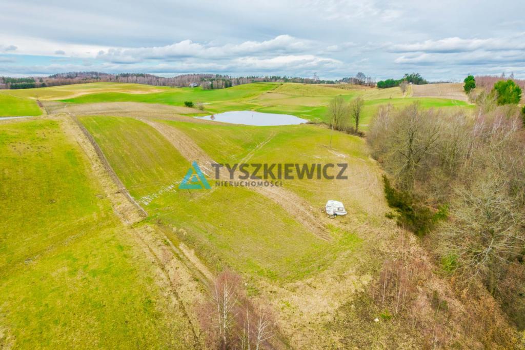 Działka w pobliżu Jeziora Stropno - Jeleńcz - zdjęcie 15