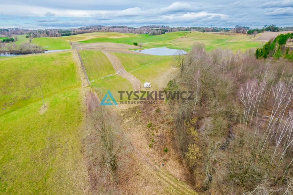 Działka w pobliżu Jeziora Stropno - Jeleńcz - zdjęcie 8