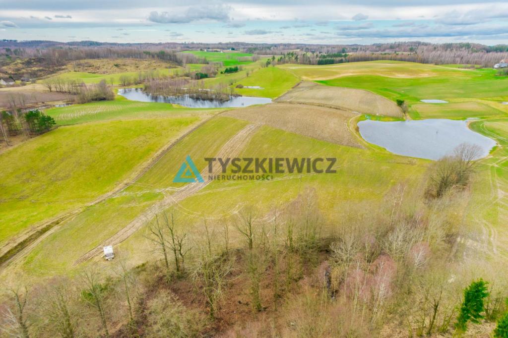 Działka w pobliżu Jeziora Stropno - Jeleńcz - zdjęcie 9