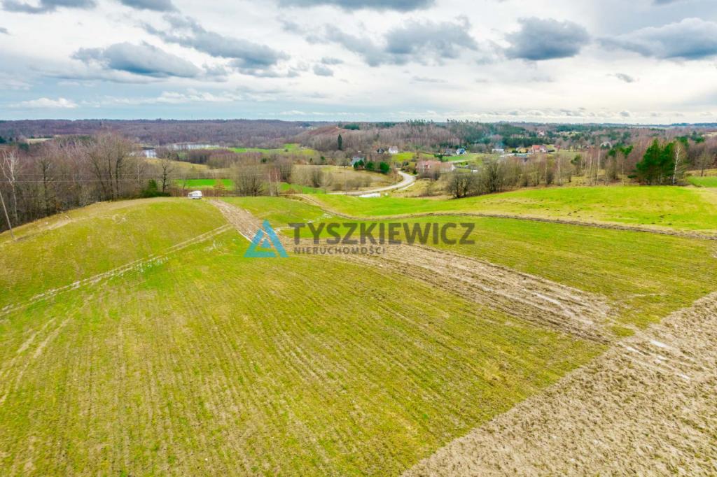 Działka w pobliżu Jeziora Stropno - Jeleńcz - zdjęcie 18