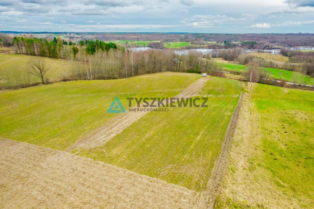 Działka w pobliżu Jeziora Stropno - Jeleńcz - zdjęcie 13