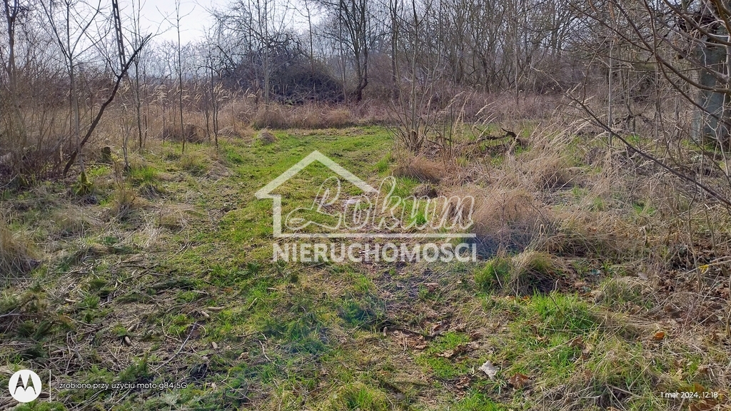 Działka inwestycyjna 4300 m², Dębina - zdjęcie 4