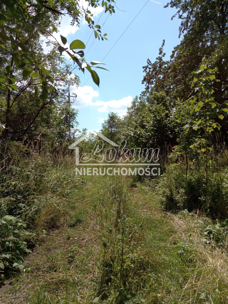 Działka inwestycyjna 4300 m², Dębina - zdjęcie 6