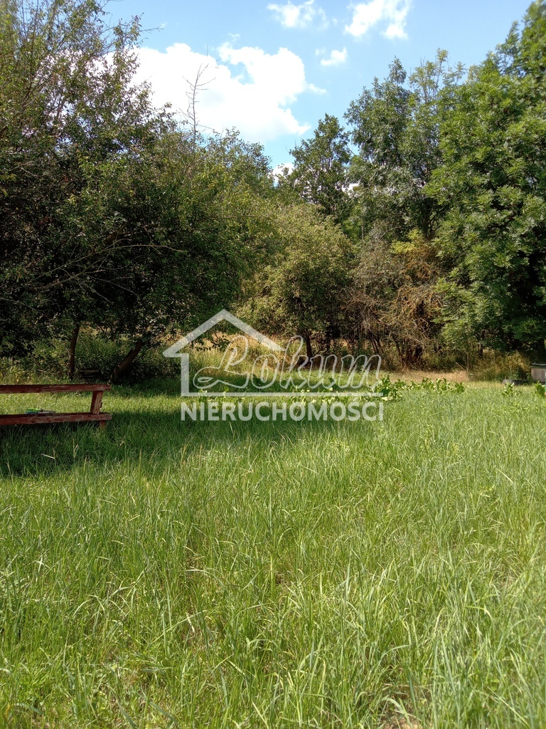 Działka inwestycyjna 4300 m², Dębina - zdjęcie 1