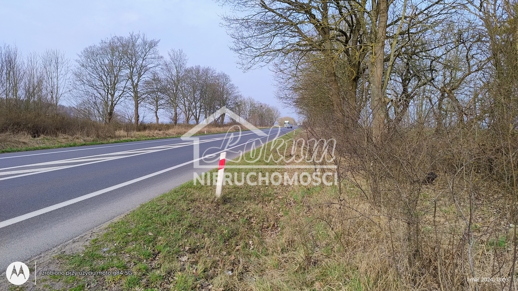 Działka inwestycyjna 4300 m², Dębina - zdjęcie 7