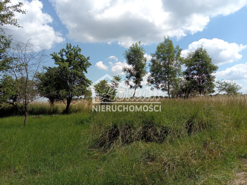 Działka inwestycyjna 4300 m², Dębina - zdjęcie 5
