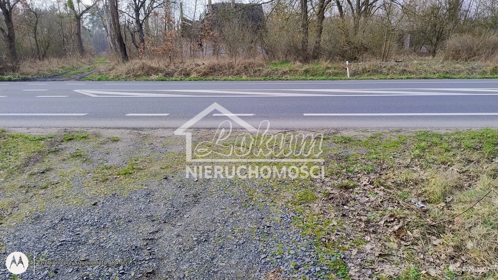 Działka inwestycyjna 4300 m², Dębina - zdjęcie 9