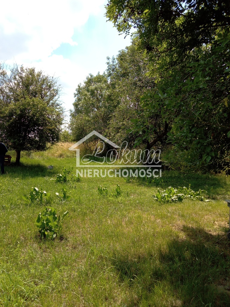 Działka inwestycyjna 4300 m², Dębina - zdjęcie 2