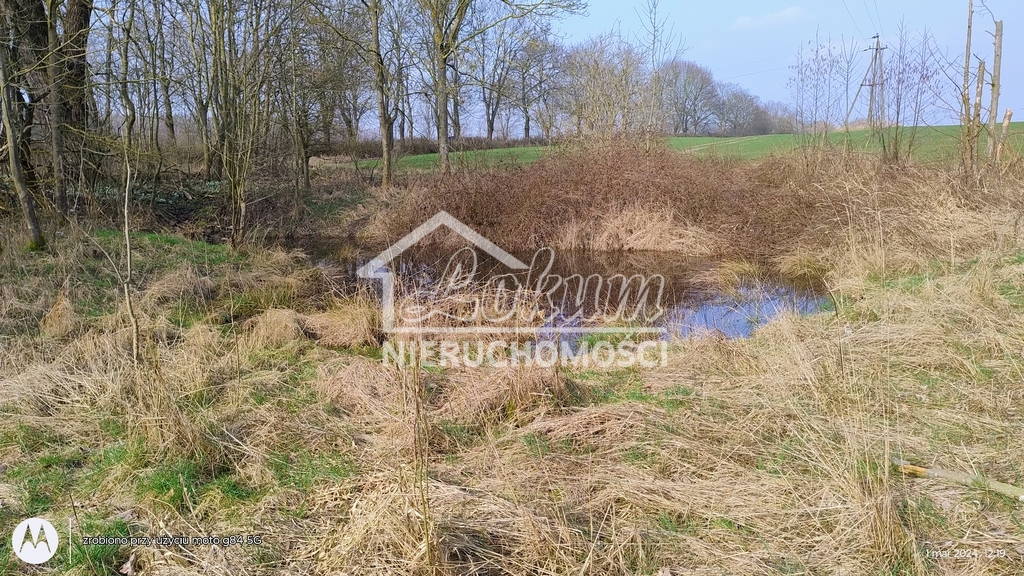 Działka inwestycyjna 4300 m², Dębina - zdjęcie 3
