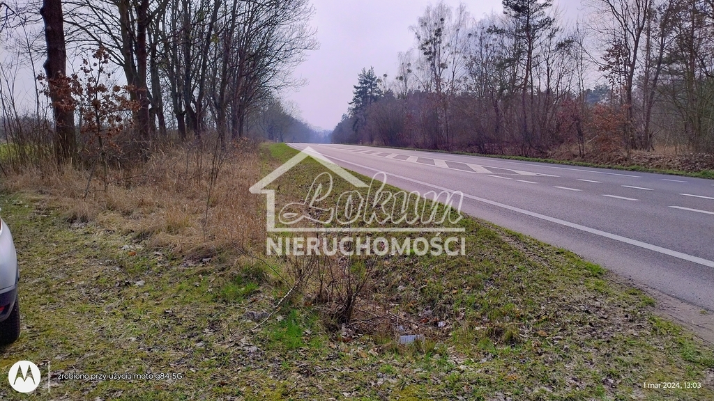Działka inwestycyjna 4300 m², Dębina - zdjęcie 8