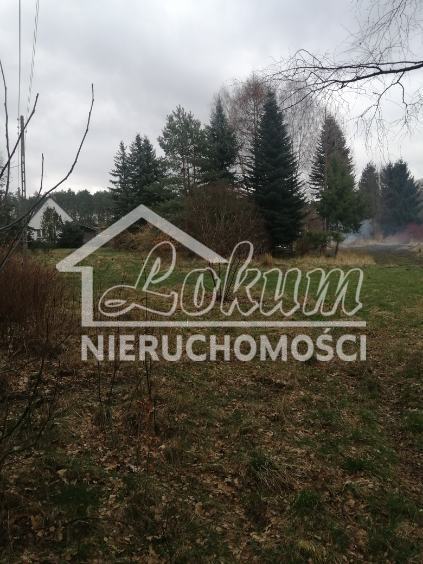 Działka rolna 1100&nbsp;m², Stawno - zdjęcie 1