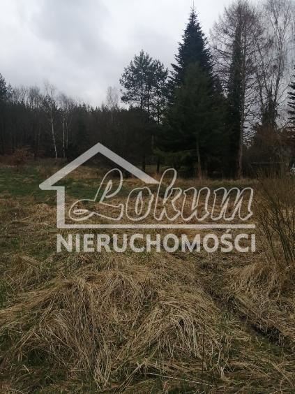 Działka rolna 1100&nbsp;m², Stawno - zdjęcie 5