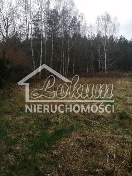 Działka rolna 1099&nbsp;m², Stawno - zdjęcie 5