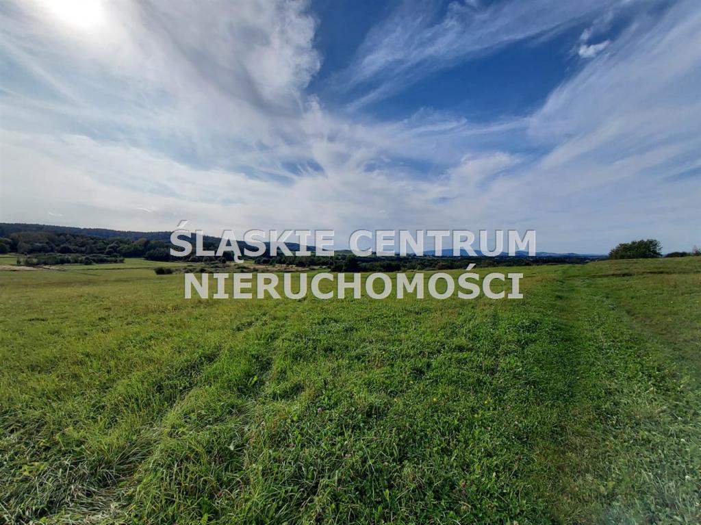 Działka budowlana 1,09&nbsp;ha, Lipinki - zdjęcie 1