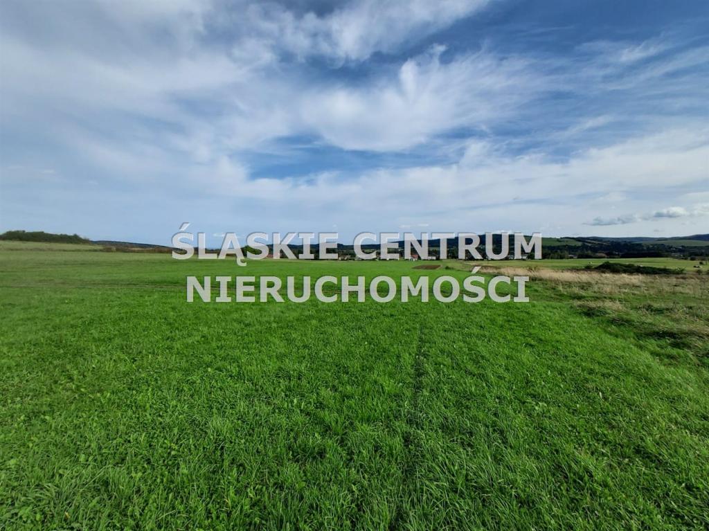 Działka budowlana 1,09&nbsp;ha, Lipinki - zdjęcie 4